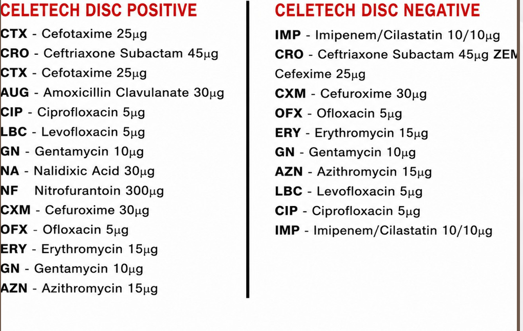 Antibiotic Susceptibility Discs (AST / Antibiotic Sensitivity Discs) - View 1
