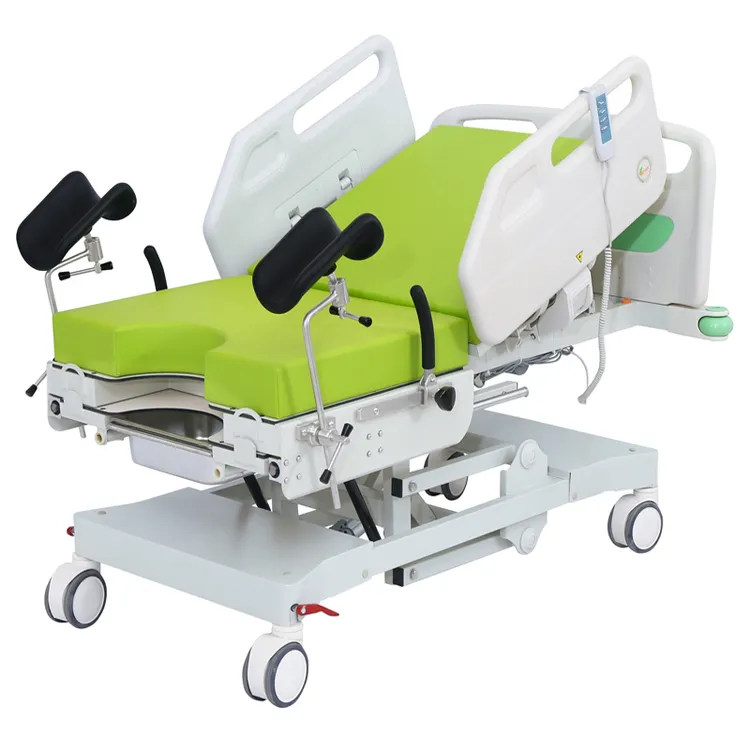 BT666EPZ Multi-Function Electric Delivery Bed - View 1