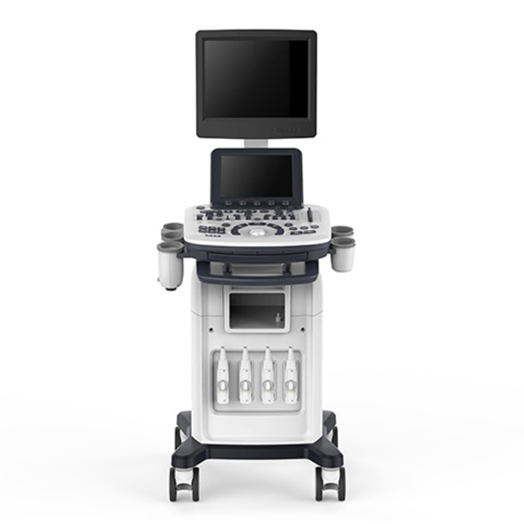 Color Ultrasound model P7 With linear and convex probes, 19" Monitor