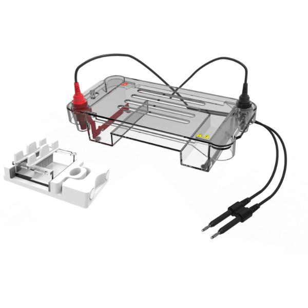 DLAB Horizontal Electrophoresis System - View 1