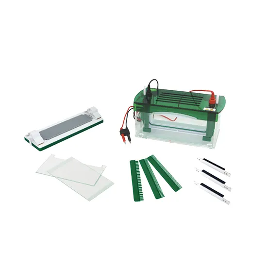 BIOBASE Gel Electrophoresis System – DNA & Nucleic Acid Analysis