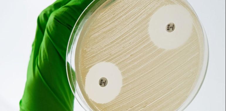 MAST Ceftobiprole 5 µg Antibiotic Susceptibility Discs – 250 Discs - View 1