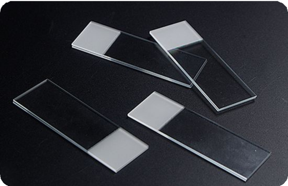 Microscope Slide - View 1