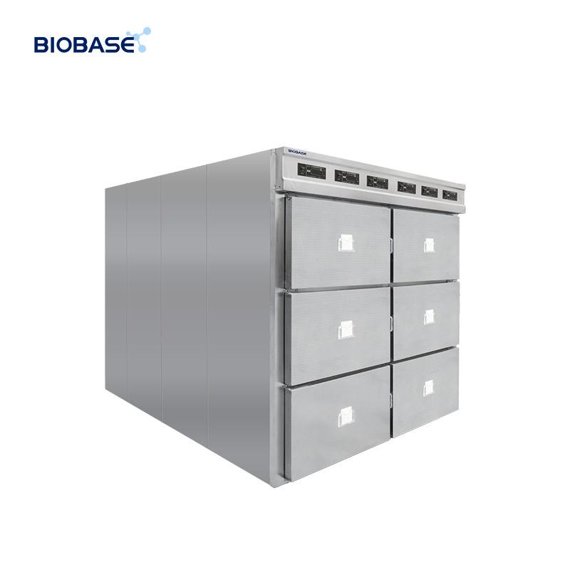 BIOBASE BK-XG6 6-Body Mortuary Freezer – Stainless Steel Morgue Refrigerator