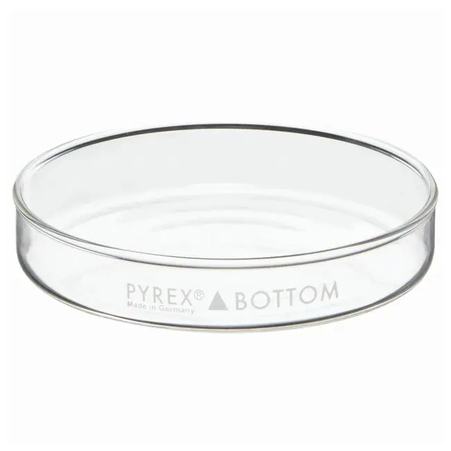 PYREX 100x15mm Petri Dish Bottom Only - View 1