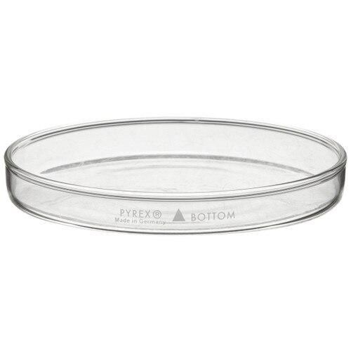 PYREX 3160-152BO Glass Petri Culture Dish Bottom Only 150 x 20 mm - View 1
