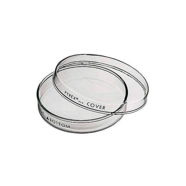 PYREX 3160 Glass Petri Dish Complete 150 x 15 mm - View 1