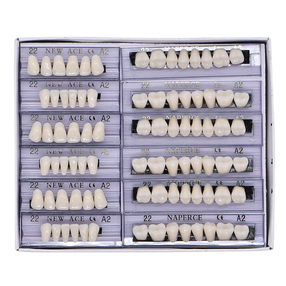Stock Teeth A2 – Upper & Lower Anterior and Posterior Denture Teeth