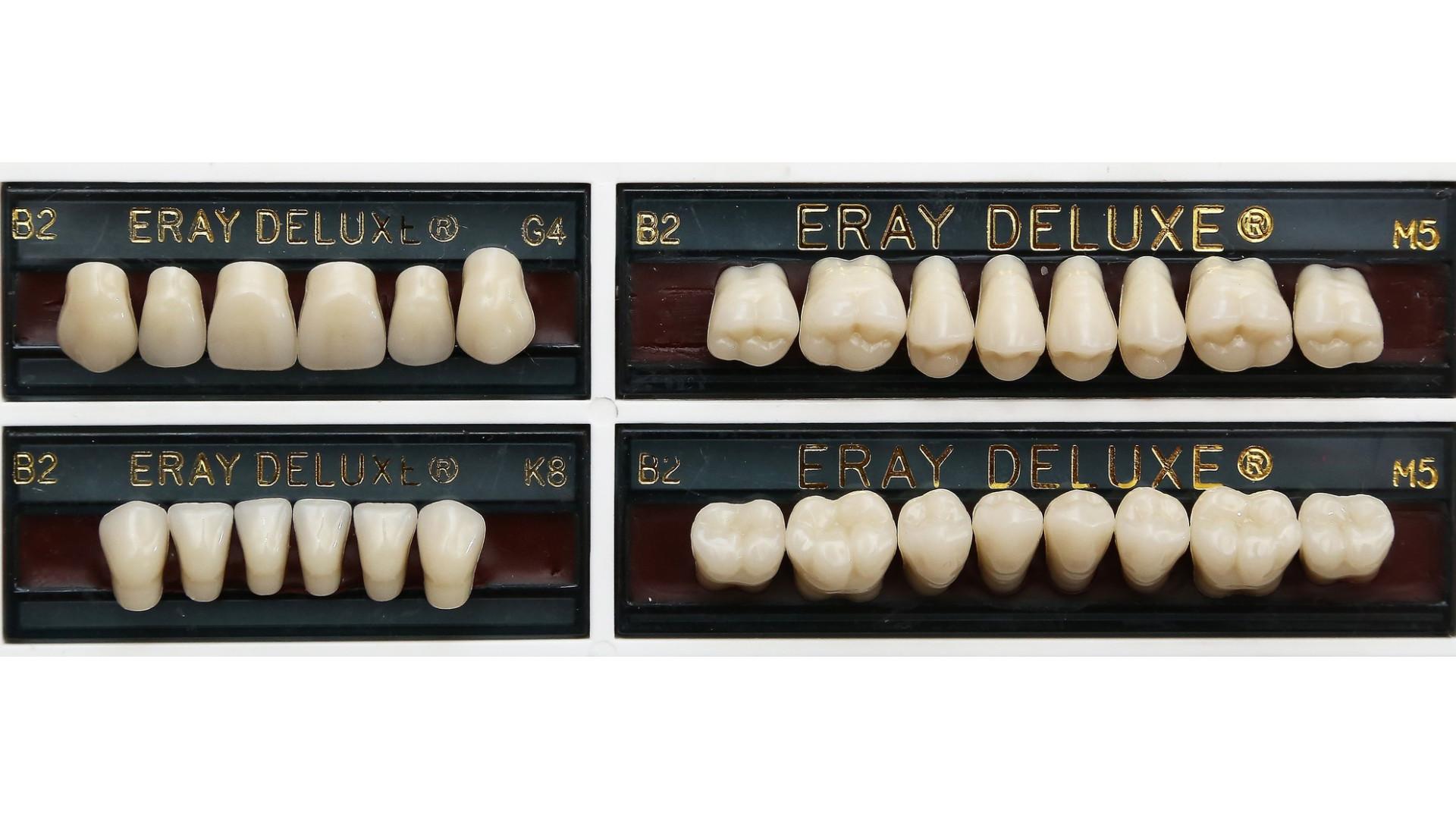 Stock Teeth B2 – Upper & Lower Anterior and Posterior Denture Teeth