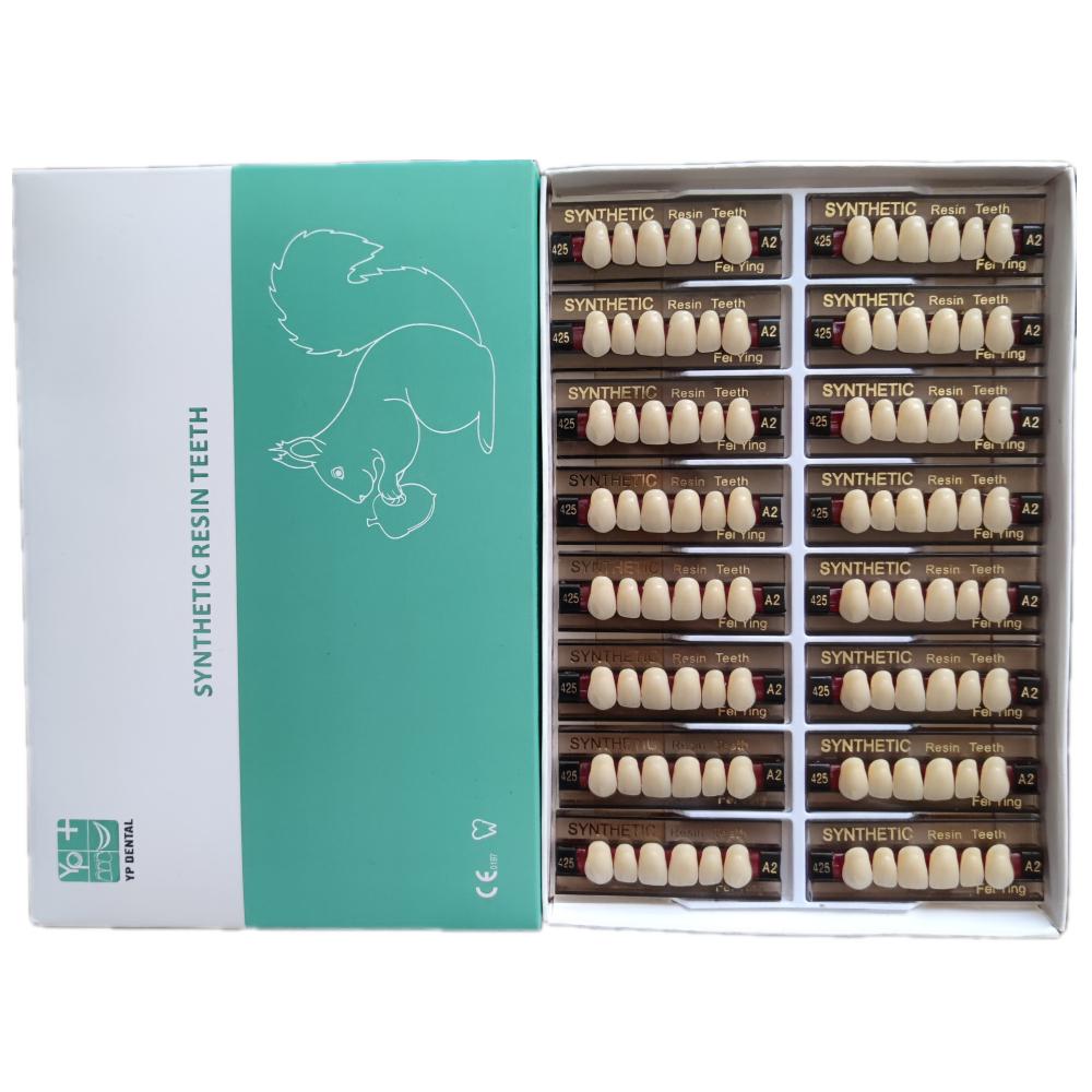 YP Dental Synthetic Resin Teeth – Multi-Layer Acrylic Denture Teeth