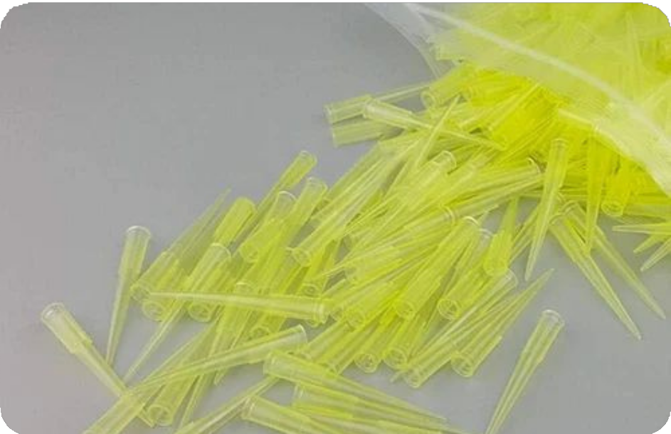 Yellow Tips - View 1